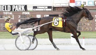 drf.com results|northfield race result from yesterday.
